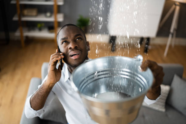 Best Professional water damage repair  in Humble, TX