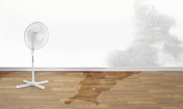 Best Water damage restoration process  in Humble, TX