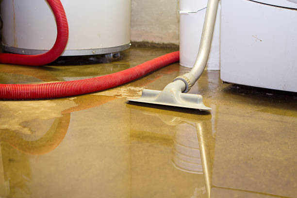 Best Local water damage restoration  in Humble, TX